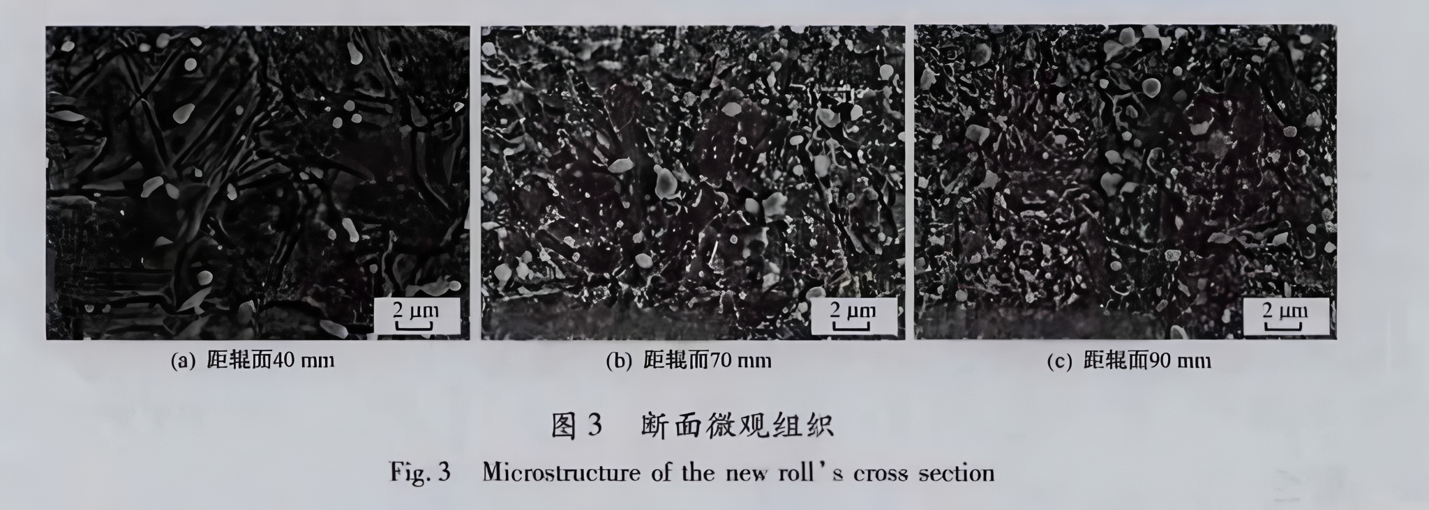 1.3 Radial Hardness and Microstructure