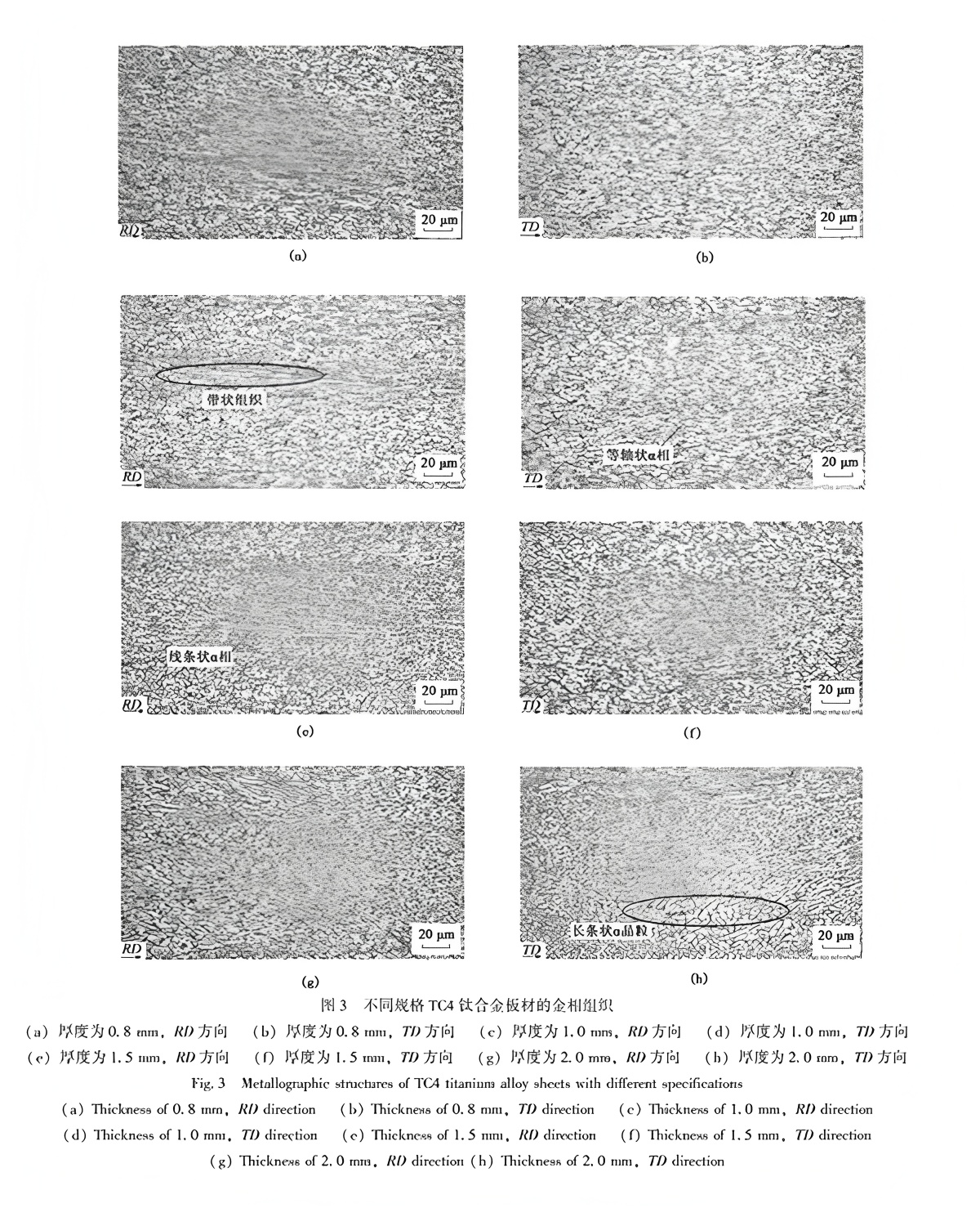 TC4 Titanium Alloy Sheet Rolling Process