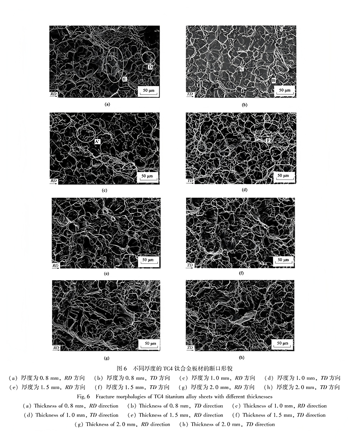 TC4 Titanium Alloy Sheet Rolling Process