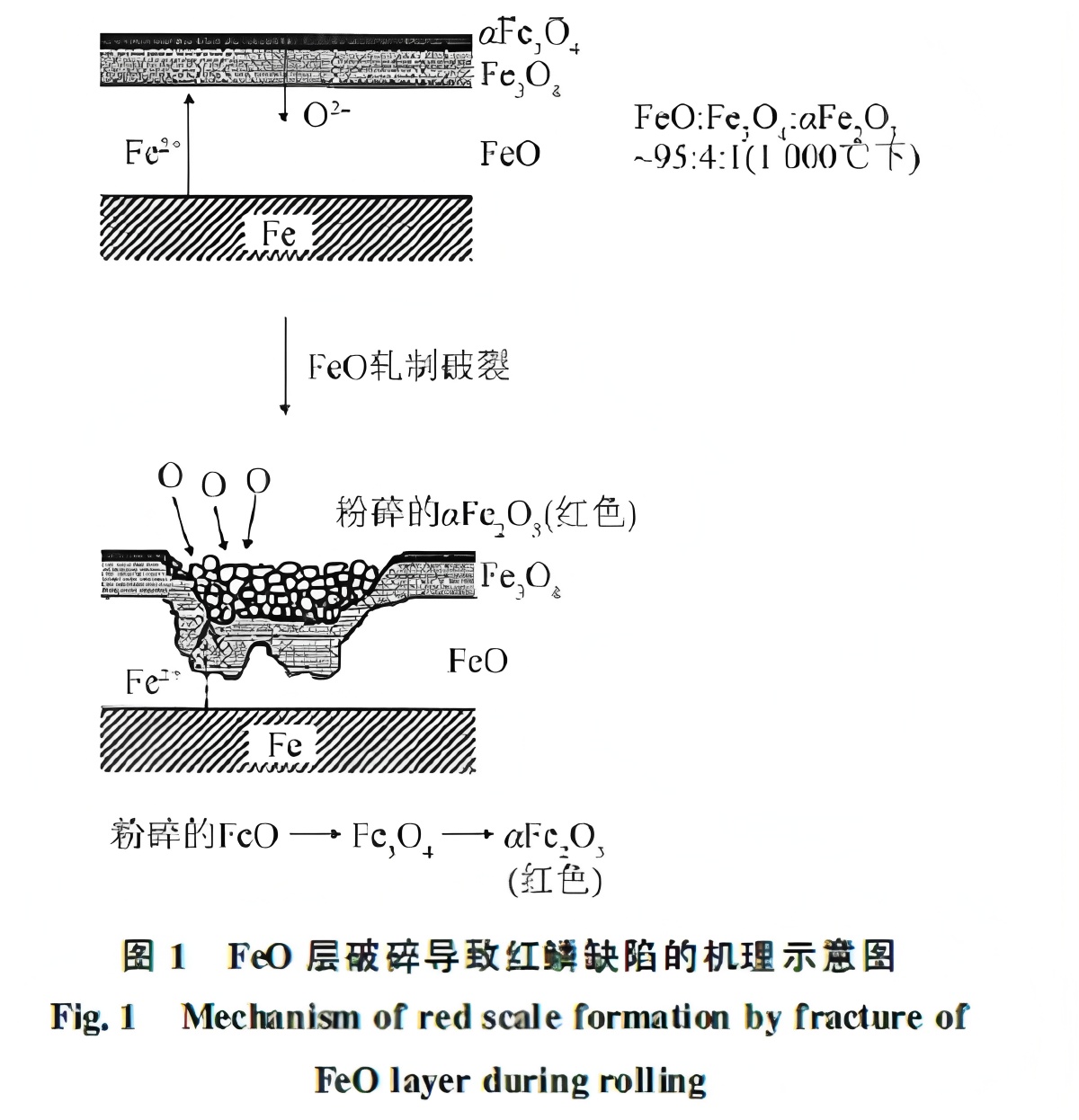 Formation Mechanisms and Control Strategies for Red Scale and Copper Brittle Defects in Hot-Rolled Strip