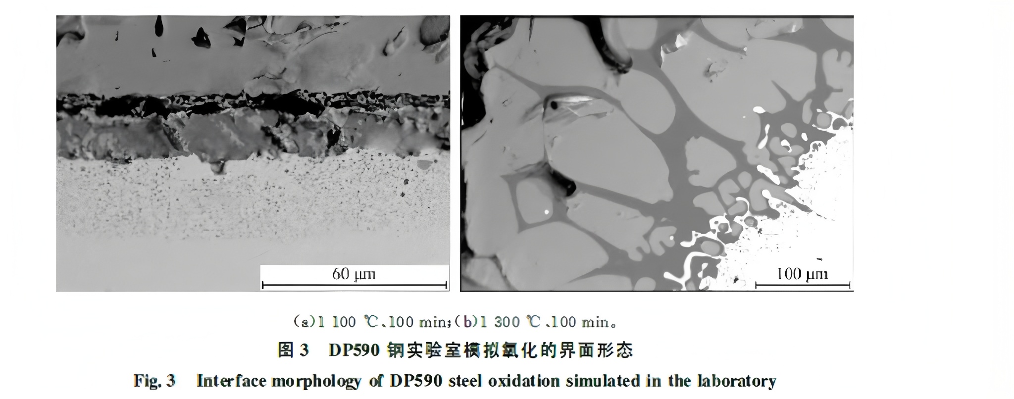 Formation Mechanisms and Control Strategies for Red Scale and Copper Brittle Defects in Hot-Rolled Strip
