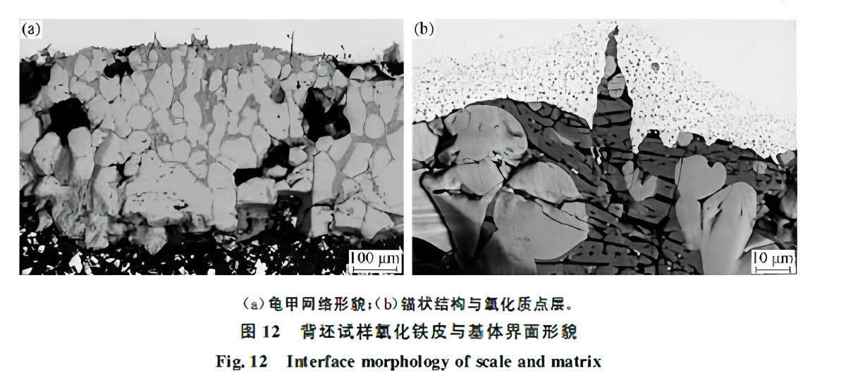 Formation Mechanisms and Control Strategies for Red Scale and Copper Brittle Defects in Hot-Rolled Strip