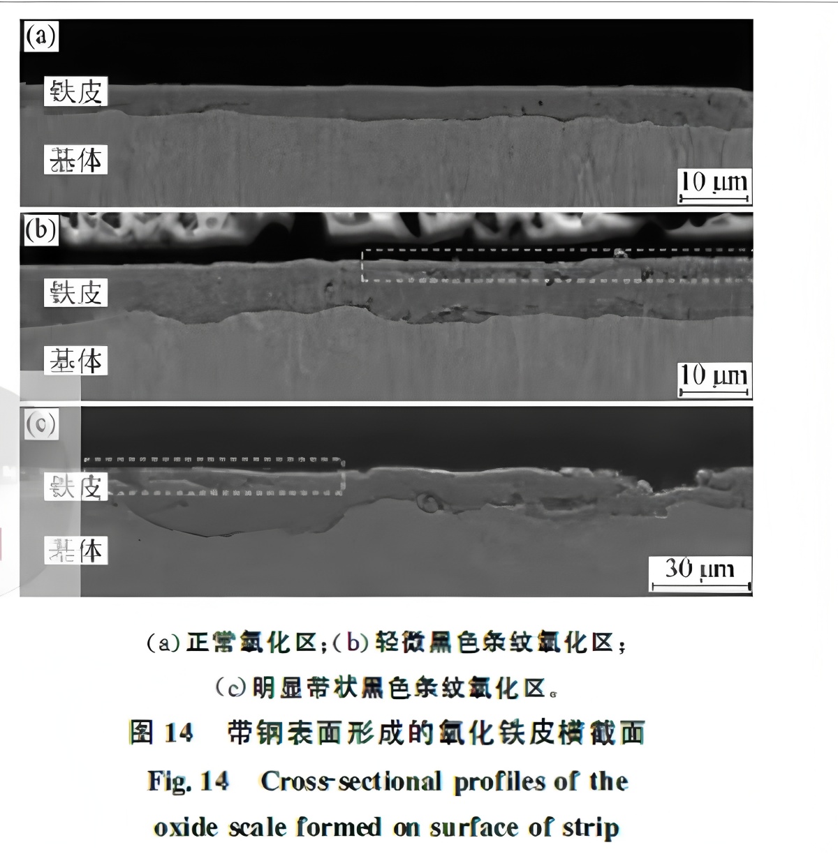 Formation Mechanisms and Control Strategies for Red Scale and Copper Brittle Defects in Hot-Rolled Strip
